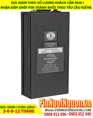 Pin LumeDyne; Pin đèn Flash máy ảnh chuyên nghiệp LumeDyne / Pin sạc NiMh chuyên dụng