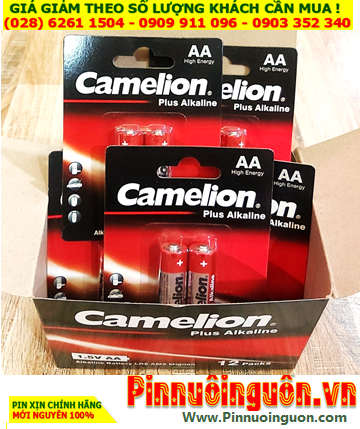 COMBO 01Hộp 12vỉ (24viên) Pin AA 1.5v Alkaline Camelion Plus LR6-AM3 Mignon _Giá chỉ 204.000/Hộp