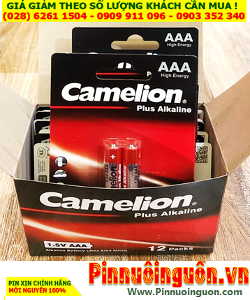 COMBO 01Hộp 12vỉ (24 viên) Pin AAA 1.5v Alkaline Camelion Plus LR03-AM4 (MẪU MỚI) _Giá chỉ 204.000đ/Hộp