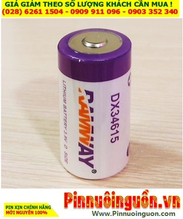 RAMWAY DX34615, Pin nuôi nguồn PLC RAMWAY DX34615 lithium 3.9v 16600mAh chính hãng