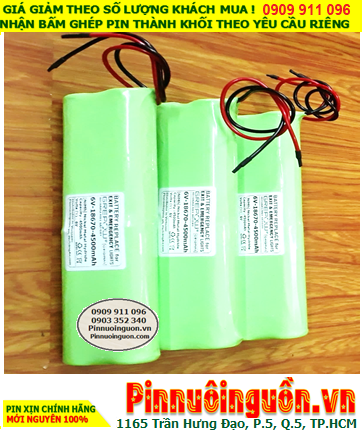 Pin đèn Exit thoát hiểm 6V-18670-4500mAh, Pin đèn Sự cố khẩn cấp 6V-18670-4500mAh chính hãng