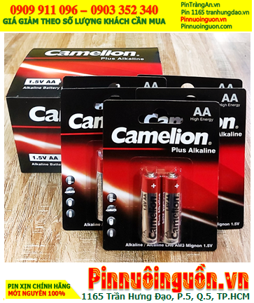 COMBO mua 01Hộp 12vỉ (24viên) Pin AA 1.5v Alkaline Camelion Plus LR6-AM3 Mignon _Giá chỉ 204.000/Hộp