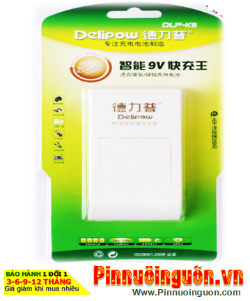 Delipow DLP-K9 with 02 Channels for Charging Batteries size 9v