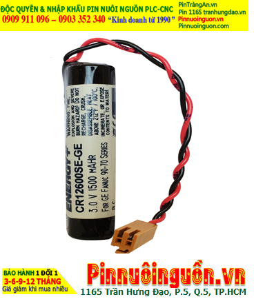 FANUC IC600KD5100; Pin nuôi nguồn GE FANUC IC600KD5100 _Japan