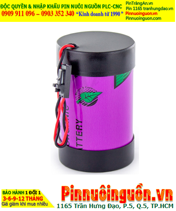 Pin Tadiran TL-5930; Pin TL-5930; Pin nuôi nguồn PLC Tadiran TL-5930 lithium 3.6v D 19000mAh _Xuất xứ Israel