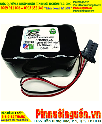 8N1200SCK OKUMA E5503-377-001, Pin nuôi nguồn PLC 8N1200SCK OKUMA E5503-377-001