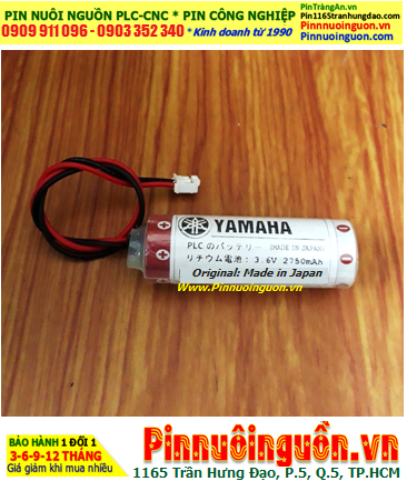 Yamaha TS-X _Pin nuôi nguồn Yamaha TS-X lithium 3.6v chính hãng (Xuất xứ Nhật)