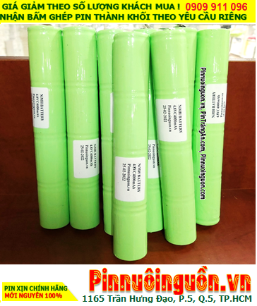 Pin đèn Exit thoát hiểm 4.8v C4000mAh; Pin đèn sự cố khẩn cấp 4.8v C4000mAh; Pin sạc NiMh NiCd 4.8v C4000mAh